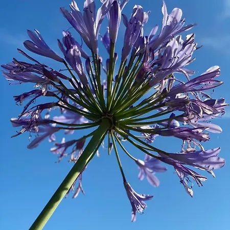 Villalino Tre Palme, Pool, 2 Schlafzimmer, 2 Baeder, Pool, Terrasse, Outdoor Fitness アパート