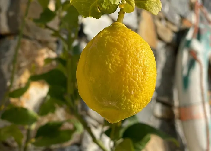 Apartment Villalino Tre Palme, Pool, 2 Schlafzimmer, 2 Baeder, Pool, Terrasse, Outdoor Fitness Alassio