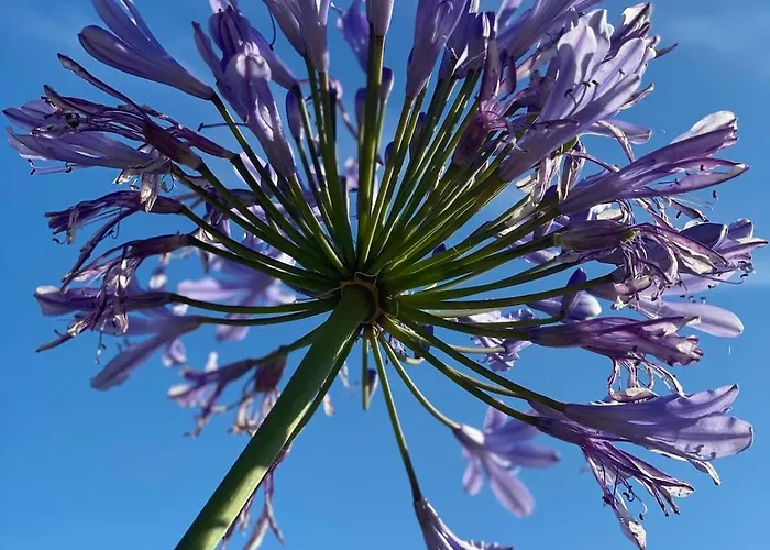 Villalino Tre Palme, Pool, 2 Schlafzimmer, 2 Baeder, Pool, Terrasse, Outdoor Fitness Apartment